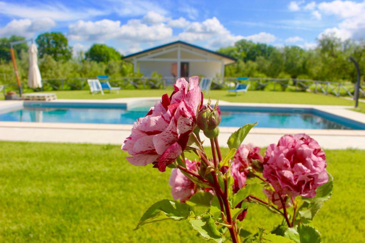 Agriturismo Re Di Fiori Donoratico Exterior foto